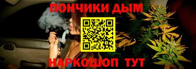 стаф Кинель
