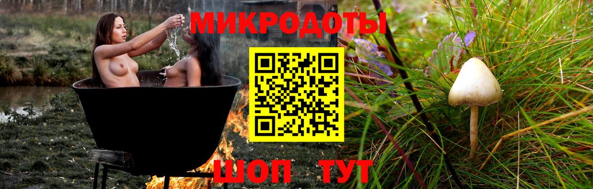 Псилоцибиновые грибы Cubensis Отрадный